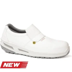 BERGEN EVO S2 FO SR  Giasco