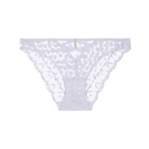 Crazy in Love Italian brief Wisteria