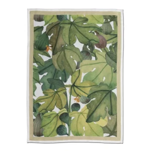 Canovaccio Ficus Verde