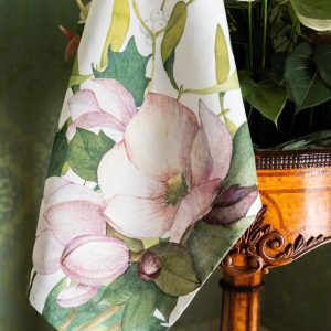 Canovaccio Helleborus