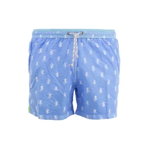 Boxer Geco